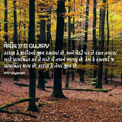 Picture 02 - લેવીય 17:11 GUJIRV - કારણ કે શરીરનો જીવ - Bible Verse Picture