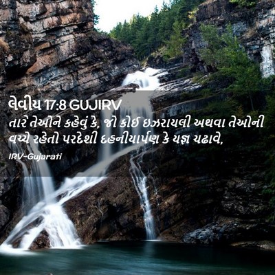 Picture 02 - લેવીય 17:8 GUJIRV - તારે તેઓને કહેવું - Bible Verse Picture
