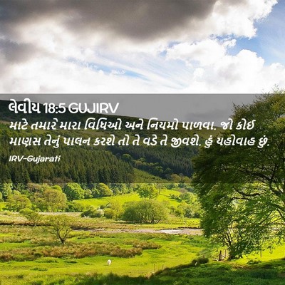 Picture 02 - લેવીય 18:5 GUJIRV - માટે તમારે મારા - Bible Verse Picture