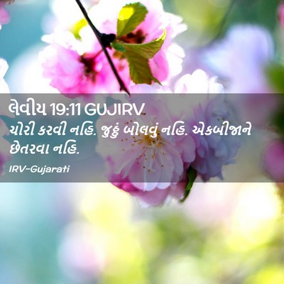 Picture 02 - લેવીય 19:11 GUJIRV - ચોરી કરવી નહિ. - Bible Verse Picture