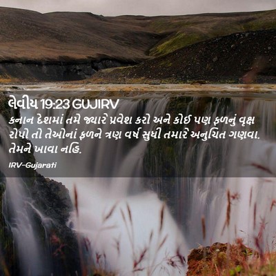 Picture 02 - લેવીય 19:23 GUJIRV - કનાન દેશમાં તમે - Bible Verse Picture