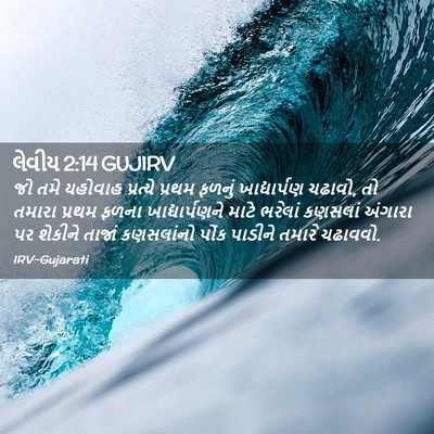 Picture 02 - લેવીય 2:14 GUJIRV - જો તમે યહોવાહ - Bible Verse Picture