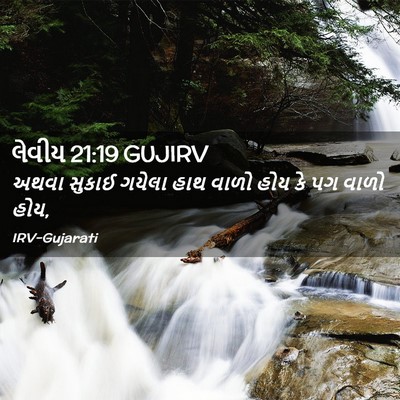 Picture 02 - લેવીય 21:19 GUJIRV - અથવા સુકાઈ ગયેલા - Bible Verse Picture