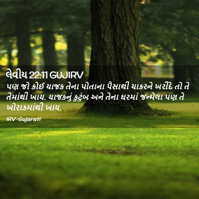 Picture 02 - લેવીય 22:11 GUJIRV - પણ જો કોઈ યાજક તેના - Bible Verse Picture