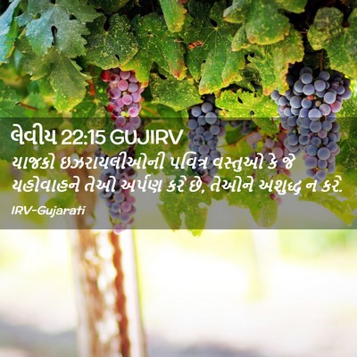 Picture 02 - લેવીય 22:15 GUJIRV - યાજકો ઇઝરાયલીઓની - Bible Verse Picture