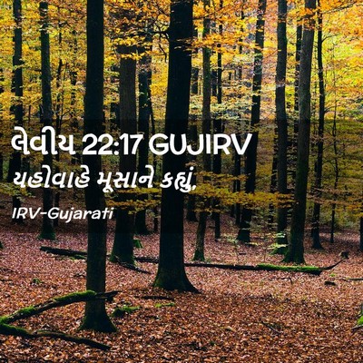 Picture 02 - લેવીય 22:17 GUJIRV - યહોવાહે મૂસાને - Bible Verse Picture