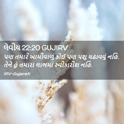 Picture 02 - લેવીય 22:20 GUJIRV - પણ તમારે - Bible Verse Picture