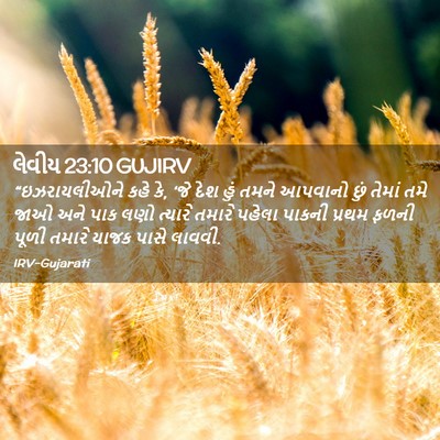 Picture 02 - લેવીય 23:10 GUJIRV - “ઇઝરાયલીઓને કહે - Bible Verse Picture