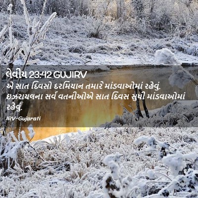 Picture 02 - લેવીય 23:42 GUJIRV - એ સાત દિવસો - Bible Verse Picture