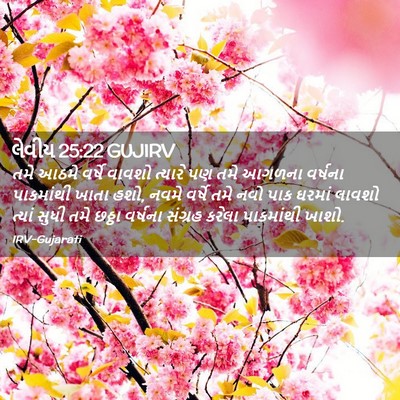 Picture 02 - લેવીય 25:22 GUJIRV - તમે આઠમે વર્ષે - Bible Verse Picture