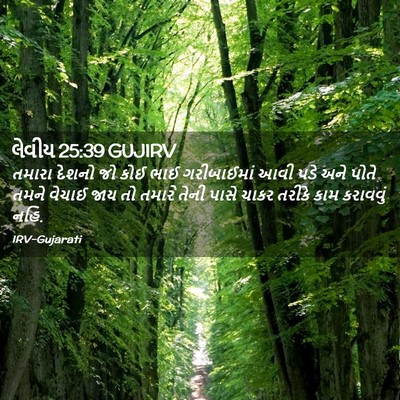 Picture 02 - લેવીય 25:39 GUJIRV - તમારા દેશનો જો કોઈ - Bible Verse Picture