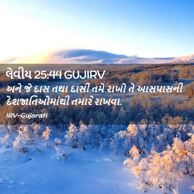 Picture 02 - લેવીય 25:44 GUJIRV - અને જે દાસ તથા દાસી - Bible Verse Picture