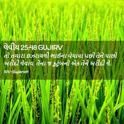 Picture 02 - લેવીય 25:48 GUJIRV - તો તમારા ઇઝરાયલી - Bible Verse Picture