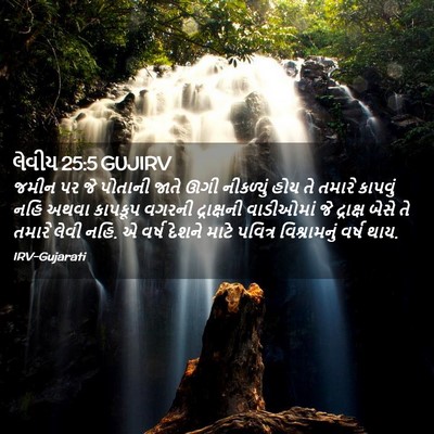 Picture 02 - લેવીય 25:5 GUJIRV - જમીન પર જે પોતાની - Bible Verse Picture