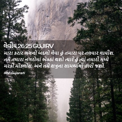 Picture 02 - લેવીય 26:25 GUJIRV - મારા કરાર ભંગનો - Bible Verse Picture