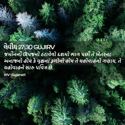 Picture 02 - લેવીય 27:30 GUJIRV - જમીનની ઊપજનો - Bible Verse Picture