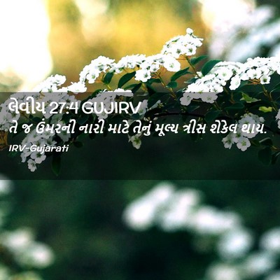 Picture 02 - લેવીય 27:4 GUJIRV - તે જ ઉંમરની નારી - Bible Verse Picture
