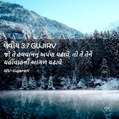Picture 02 - લેવીય 3:7 GUJIRV - જો તે હલવાનનું - Bible Verse Picture