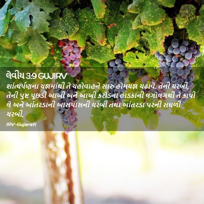Picture 02 - લેવીય 3:9 GUJIRV - શાંત્યર્પણના - Bible Verse Picture