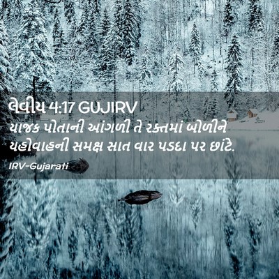 Picture 02 - લેવીય 4:17 GUJIRV - યાજક પોતાની આંગળી - Bible Verse Picture