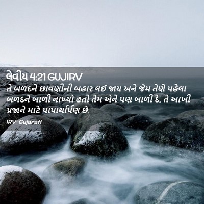 Picture 02 - લેવીય 4:21 GUJIRV - તે બળદને છાવણીની - Bible Verse Picture