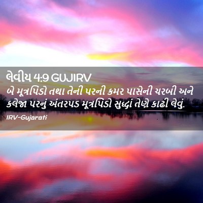 Picture 02 - લેવીય 4:9 GUJIRV - બે મૂત્રપિંડો તથા - Bible Verse Picture