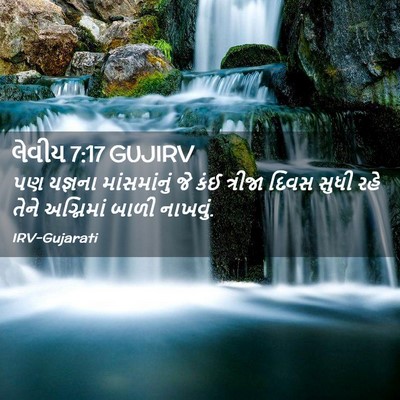 Picture 02 - લેવીય 7:17 GUJIRV - પણ યજ્ઞના - Bible Verse Picture