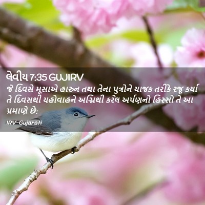 Picture 02 - લેવીય 7:35 GUJIRV - જે દિવસે મૂસાએ - Bible Verse Picture