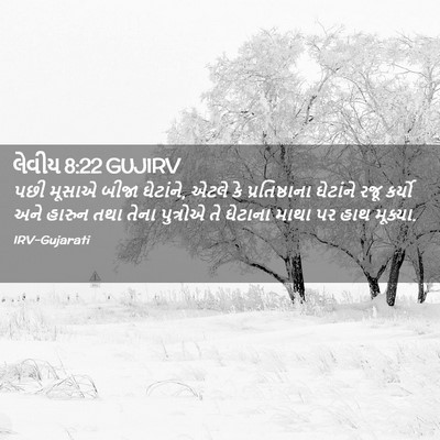 Picture 02 - લેવીય 8:22 GUJIRV - પછી મૂસાએ બીજા - Bible Verse Picture