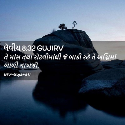 Picture 02 - લેવીય 8:32 GUJIRV - તે માંસ તથા - Bible Verse Picture