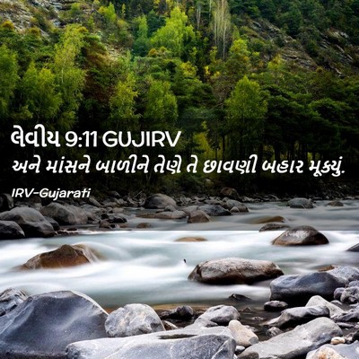 Picture 02 - લેવીય 9:11 GUJIRV - અને માંસને બાળીને - Bible Verse Picture