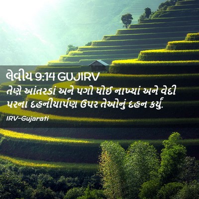 Picture 02 - લેવીય 9:14 GUJIRV - તેણે આંતરડાં અને - Bible Verse Picture
