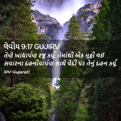 Picture 02 - લેવીય 9:17 GUJIRV - તેણે ખાદ્યાર્પણ - Bible Verse Picture
