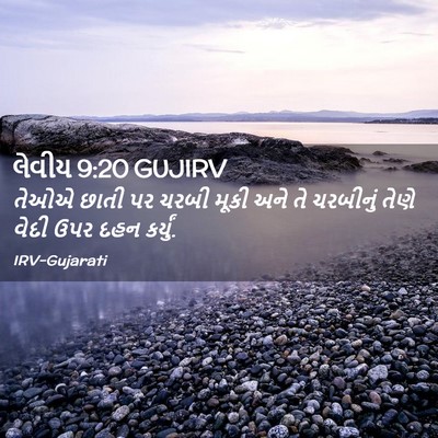 Picture 02 - લેવીય 9:20 GUJIRV - તેઓએ છાતી પર ચરબી - Bible Verse Picture