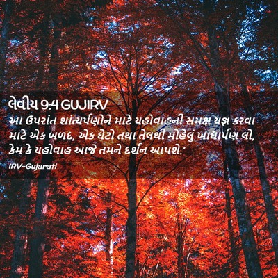 Picture 02 - લેવીય 9:4 GUJIRV - આ ઉપરાંત - Bible Verse Picture