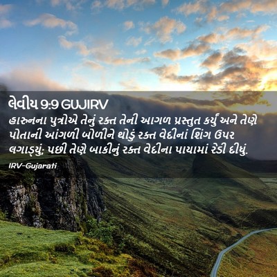 Picture 02 - લેવીય 9:9 GUJIRV - હારુનના પુત્રોએ - Bible Verse Picture