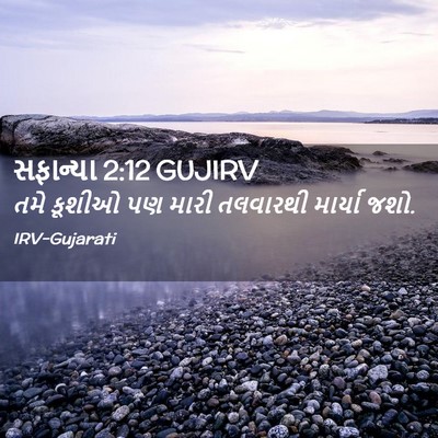 Picture 02 - સફાન્યા 2:12 GUJIRV - તમે કૂશીઓ પણ મારી - Bible Verse Picture