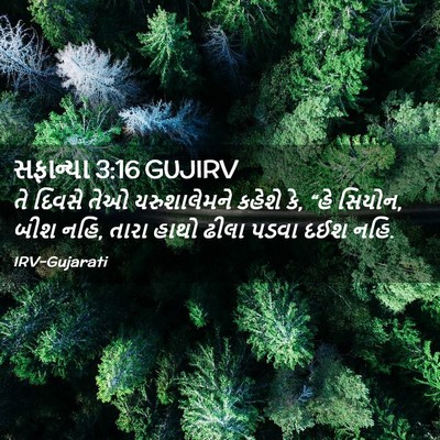 Picture 02 - સફાન્યા 3:16 GUJIRV - તે દિવસે તેઓ - Bible Verse Picture