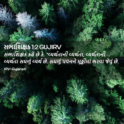 Picture 02 - સભાશિક્ષક 1:2 GUJIRV - સભાશિક્ષક કહે છે - Bible Verse Picture