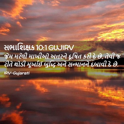 Picture 02 - સભાશિક્ષક 10:1 GUJIRV - જેમ મરેલી માખીઓ - Bible Verse Picture