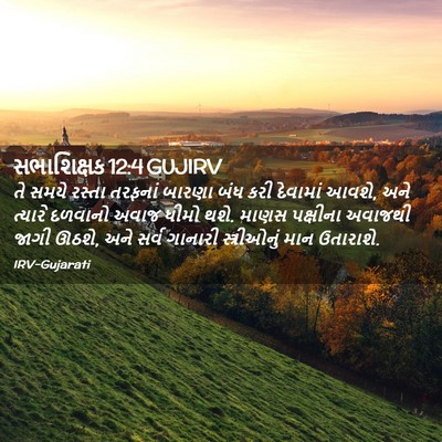 Picture 02 - સભાશિક્ષક 12:4 GUJIRV - તે સમયે રસ્તા - Bible Verse Picture