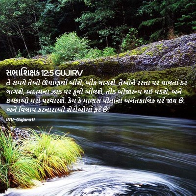 Picture 02 - સભાશિક્ષક 12:5 GUJIRV - તે સમયે તેઓ - Bible Verse Picture