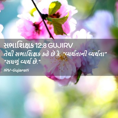 Picture 02 - સભાશિક્ષક 12:8 GUJIRV - તેથી સભાશિક્ષક - Bible Verse Picture
