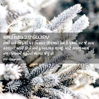 Picture 02 - સભાશિક્ષક 2:17 GUJIRV - તેથી મને જિંદગી પર - Bible Verse Picture
