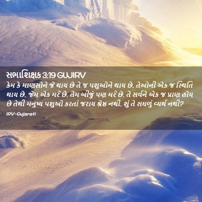 Picture 02 - સભાશિક્ષક 3:19 GUJIRV - કેમ કે માણસોને જે - Bible Verse Picture
