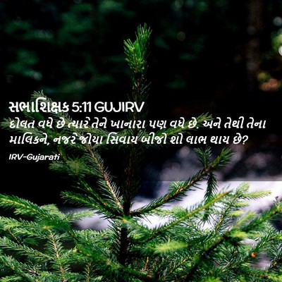 Picture 02 - સભાશિક્ષક 5:11 GUJIRV - દોલત વધે છે ત્યારે - Bible Verse Picture