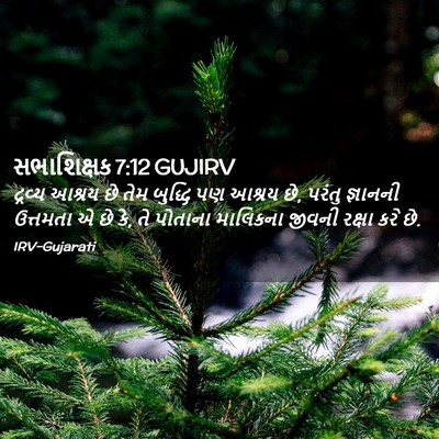 Picture 02 - સભાશિક્ષક 7:12 GUJIRV - દ્રવ્ય આશ્રય છે - Bible Verse Picture