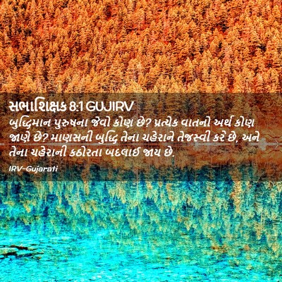 Picture 02 - સભાશિક્ષક 8:1 GUJIRV - બુદ્ધિમાન પુરુષના - Bible Verse Picture