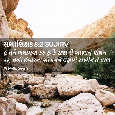 Picture 02 - સભાશિક્ષક 8:2 GUJIRV - હું તને ભલામણ કરું - Bible Verse Picture