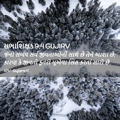 Picture 02 - સભાશિક્ષક 9:4 GUJIRV - જેનો સંબંધ સર્વ - Bible Verse Picture
